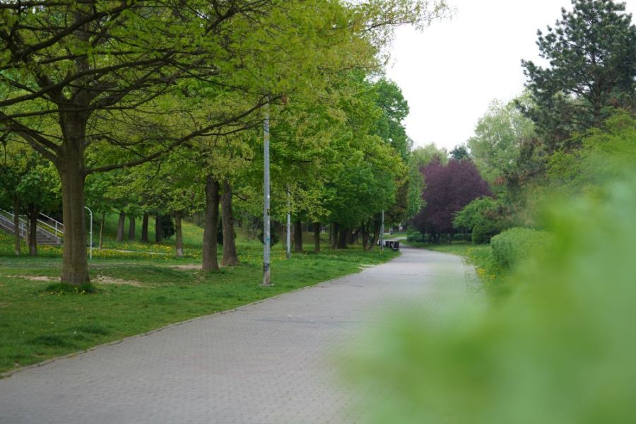 Jar Południowy w Jastrzębiu-Zdroju z nową atrakcją. Powstaną całoroczne zjeżdżalnie